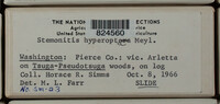 Image Associated With the Occurence